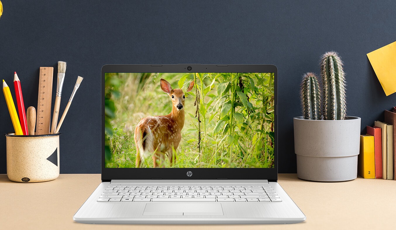 HP 14s-cf2527TU 4K4A1PA uy tín, chất lượng chỉ có tại Sơn Đạt.,JSC