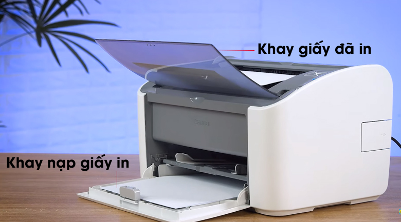Máy in Canon 2900 chính hãng, giá tốt Hải Phòng