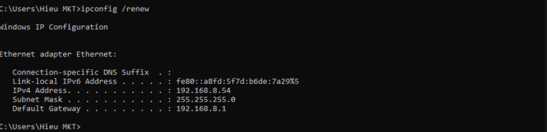 Gõ tiếp lệnh "ipconfig /renew" để máy tính nhận dải IP mới