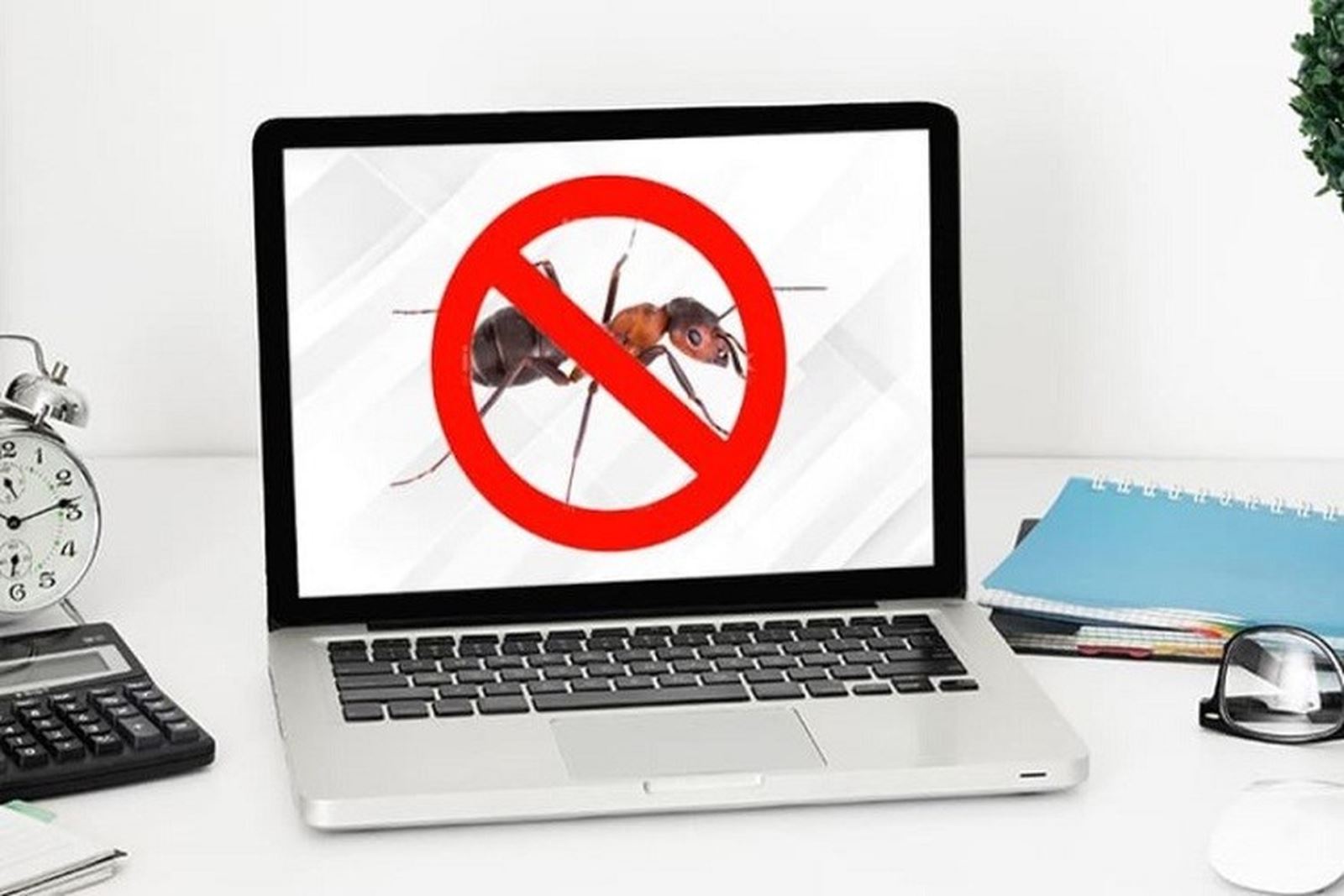  Cách đuổi kiến chui vào laptop, máy tính ra ngoài nhanh chóng, không hỏng máy