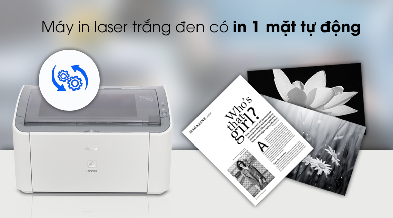 Máy in Laser đen trắng Canon LBP 2900 (chính hãng)