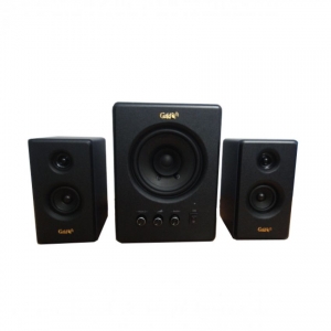 Loa máy tính Goldsound G6100