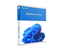 Phần mềm Microsoft Windows Pro 11 64Bit Eng Intl 1pk DSP OEI DVD (FQC-10528)	PMWD0065