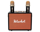 Loa Karaoke Peterhot A107W