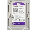 HDD PC 500GB Western tím (nhập khẩu)