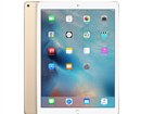 Apple iPad pro 12.9inch wifi + 4G 512Gb Gold