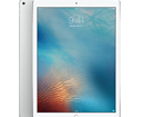 Apple iPad pro 12.9inch wifi + 4G 512Gb Silver