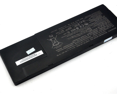 Pin Sony BPS24 Zin