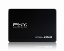  Ổ cứng SSD 256GB PNY