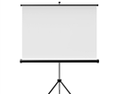 Màn chiếu đứng 3 chân Dalite 70" x 70" (Kích thước: 1.8 x 1.8m)